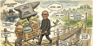 The Youthful Peter Obi  and the Nigeria’s 2027 Presidential Election